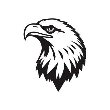 Kartal başı net siyah-beyaz vektör stili, ayrıntılı tüyler, güçlü gaga, yoğun ve odaklanmış görünüm, yırtıcı kuş, vektör kartal, vahşi kuş