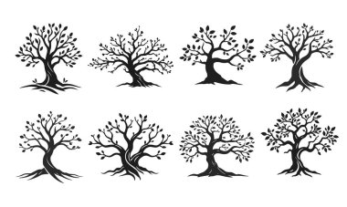 Kavisli gövdesi ve yaprakları olan ağaç silueti koleksiyonu, eko tasarım veya logo konsepti için doğa amblemi, vektör ağacı silueti, doğa sembolü, eko logosu, orman amblemi