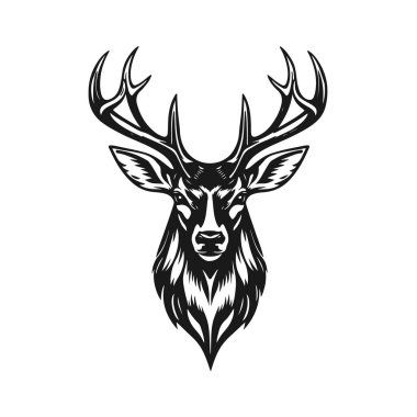 Geyik başı illüstrasyonu, boynuzlu hayvan amblemi, vahşi geyik çizimi, klasik geyik logosu, orman vahşi yaşam tasarımı.