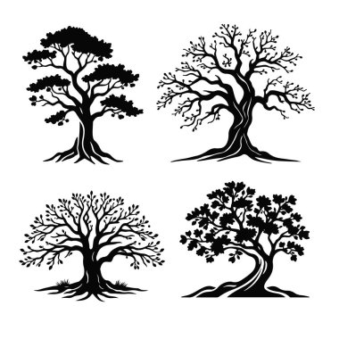 Ağaç silueti koleksiyonu, doğa simgeleri seti, dekoratif ağaç tasarımı, orman elementi demeti, siyah ağaç çizimleri