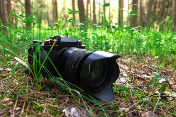 Kamera Aus Nächster Nähe Liegt Grünen Gras Wald — Stockfoto