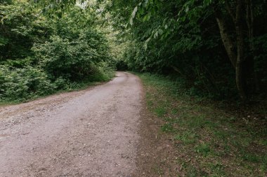 Ağaçlı yeşil çimlerde yol
