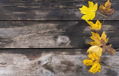 Eski tahtalar ve sonbahar yaprakları bir sırık gibi