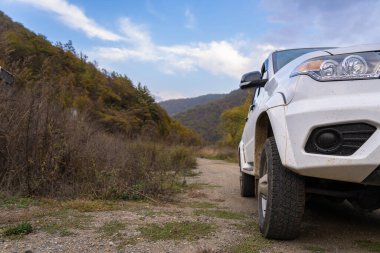 Modern SUV stands next to the fores