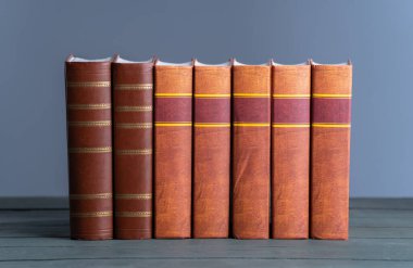 Books neatly arranged on a shel