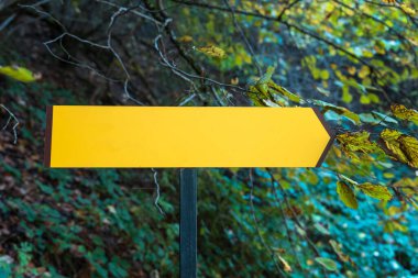 Empty road sign in the fores
