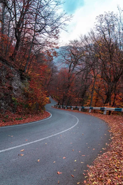 Асфальтовая Дорога Проходит Через Разноцветные Осенние Валы — стоковое фото