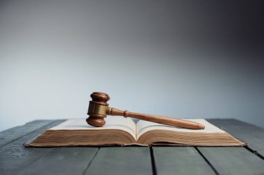 Yargıç tokmağı bir kitabın üzerinde. Yasama oranı