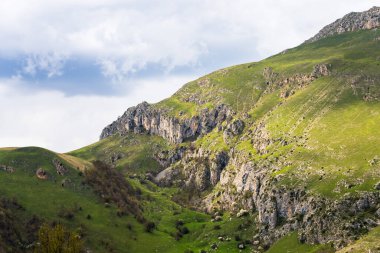 Dağın yeşil yamacı.