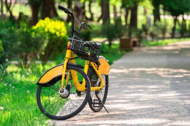 Eşitlikte kira için bisiklet