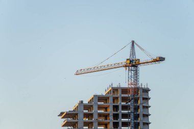 Bitmemiş devasa gökdelen ve yengeç
