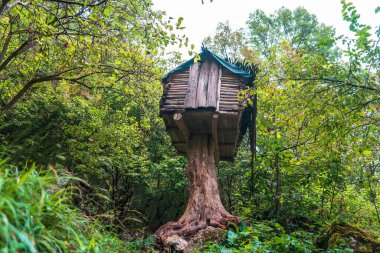 Des 'deki küçük tahta ağaç ev.