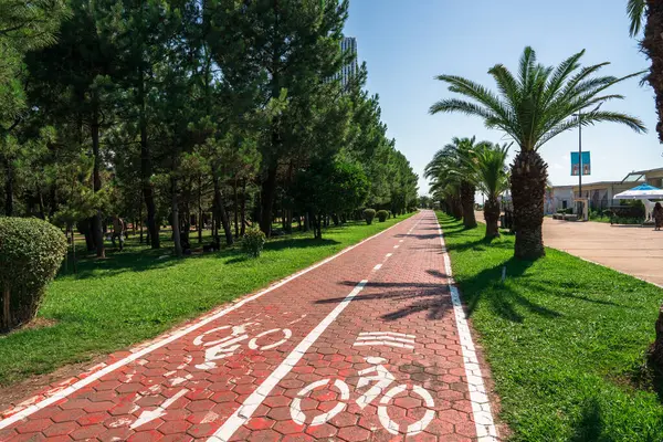 Bisiklet yolu ve palmiye ağaçları...