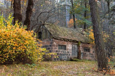Ormandaki eski taş kulübe.