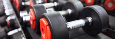 Spor salonundaki dambıllar.