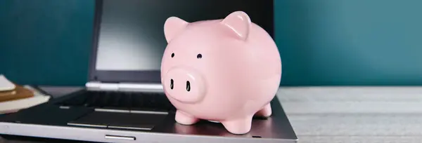 finance concept, piggy bank on computer lapto