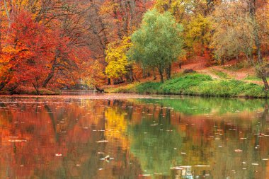 Güzel sonbahar ormanı, gölün yanında sarı-kırmızı renkler, suya yansıyor.