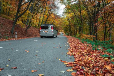 Yoldaki araba sonbahar ağaçlarıyla dolu.