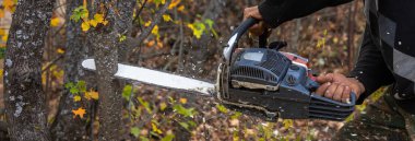 Zincirle küçük bir ağacı kesen adam