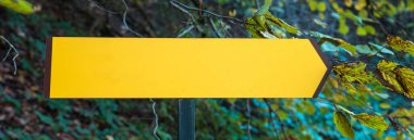 Empty road sign in the fores