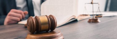 The judge examines the papers while sitting in front of the hammer and scales. scales of justic