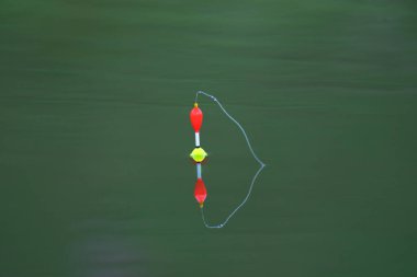 Yeşil gölde bir balık kancası