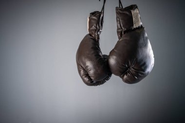 siyah boks eldivenleri, stüdyo ayarları, spor konsepti stok fotoğrafı, mavi, gri arka plan