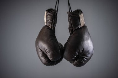 siyah boks eldivenleri, stüdyo ayarları, spor konsepti stok fotoğrafı, mavi, gri arka plan