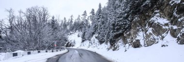 Kış manzarasında güzel karlı bir yol.