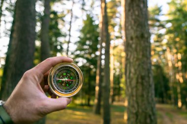 Ormanda pusula, seyahat konsepti