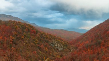 Sonbaharda orman dağları, renkli ve muhteşem ormanlar, stok fotoğrafları.
