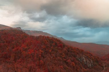 Sonbaharda orman dağları, renkli ve muhteşem ormanlar, stok fotoğrafları.