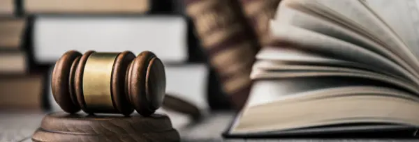 Des ile ilgili kitapları olan yargıç.