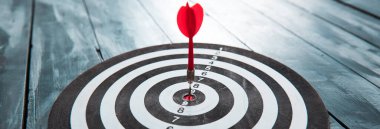 Kırmızı dart oku hedef yaban domuzunun merkezine isabet ediyor.