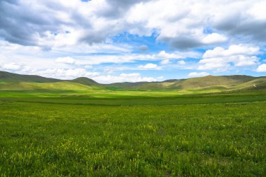 Yeşil manzara, dağlar, bahar doğası.