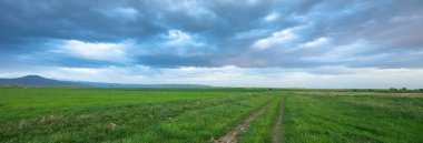 Gökyüzünün altındaki çayırlarda yol