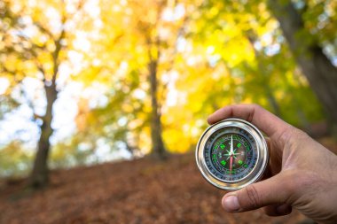 Pusula insanın elinde, sonbahar ormanı, seyahat