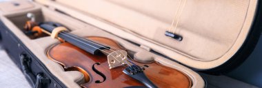 Klasik kahverengi kemancı.