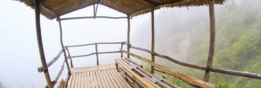 Sisli bir ormanda ahşap bir ağaç.