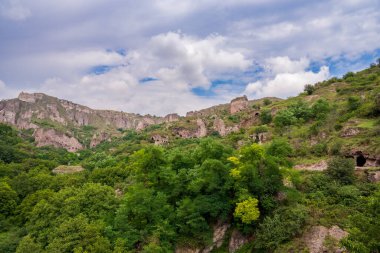 Bereketli ve Yoğun Yeşil Orman