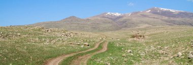 Tarlada dar bir patika