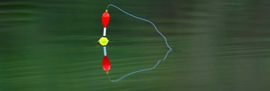 Suda balık tutmak için süzül