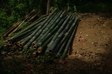 Raw green bamboo cut and decorated. These are mountain bamboos of Bandarbans area of Bangladesh.