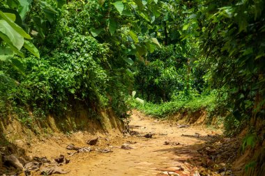 Broken mountain road after rain. Slippery and broken roads in the mountainous region of Bangladesh. Photo taken from Meghla, Bandarban, Chittagong, Bangladesh.