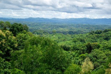 Green trees on top of the hill in Bandarban, Bangladesh. Sky, horizon, mountain forest in mountain day stock photo. Mountain landscape with trees on the hill with crazy blue sky at high noon. Photo taken from Meghla, Bandarban, Chittagong, Bangladesh