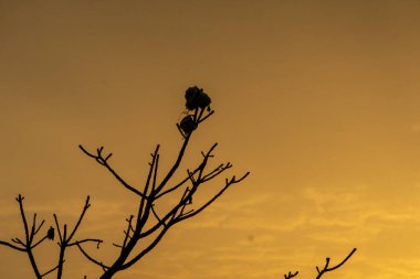 Güzel bir gün doğumu manzarası. Bir tarafta bulutlar, diğer tarafta güneş dağların üzerinden yükseliyor. Bangladeş 'in Hilly bölgesi. Fotoğraf: Meghbari, Bandarban, Bangladeş.