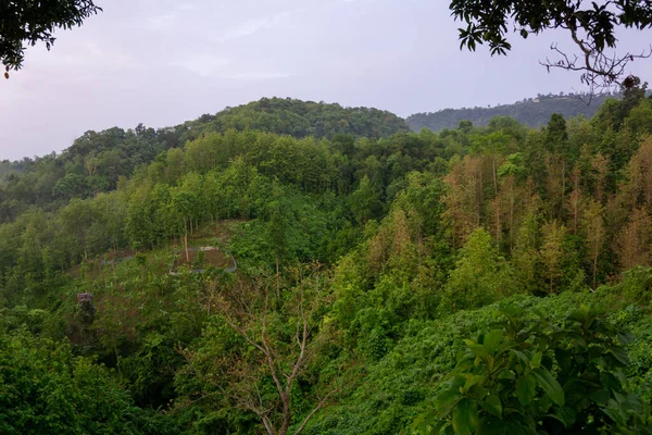 Чудовий Краєвид Горах Гіллі Район Бангладеш Ранкове Небо Зелені Магічні — стокове фото