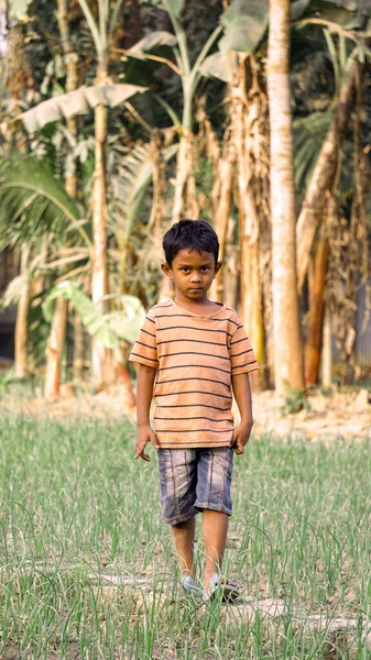 Bangladesh Hermoso País Verde Asia Niño Está Jugando Campo Verde — Foto de Stock