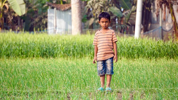 Bangladesh Hermoso País Verde Asia Niño Está Jugando Campo Verde — Foto de Stock