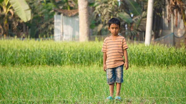Bangladesh Beautiful Green Country Asia Child Playing Green Field Having — Stock Photo, Image